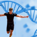 How Do You Calculate Your Genetic Muscle Building Limit?