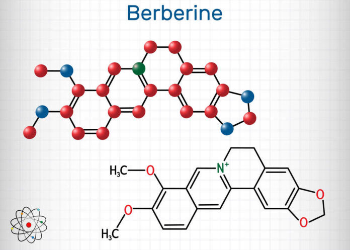 Berberine C20H18NO4, herbal alkaloid molecule. Structural chemic