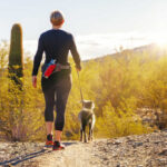 7-Day Health Hack Challenge