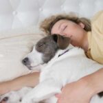 Can Napping Help You Live Longer?