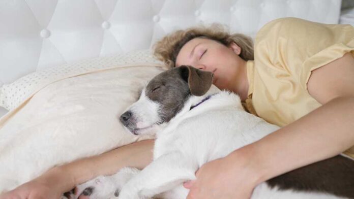 Woman Sleeping With Her Dog In Bed On Pillow