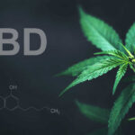 Could CBD or Other Marijuana Compounds be Right for You?