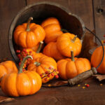 Healthy Pumpkin Recipes