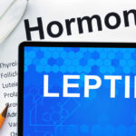 Leptin: The Master Fat Burning Hormone