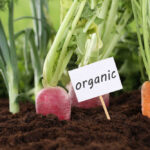Is Eating Organic Healthier?